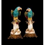 A RARE PAIR OF 19TH CENTURY MEISSEN PORCELAIN MODELS OF PARROTS