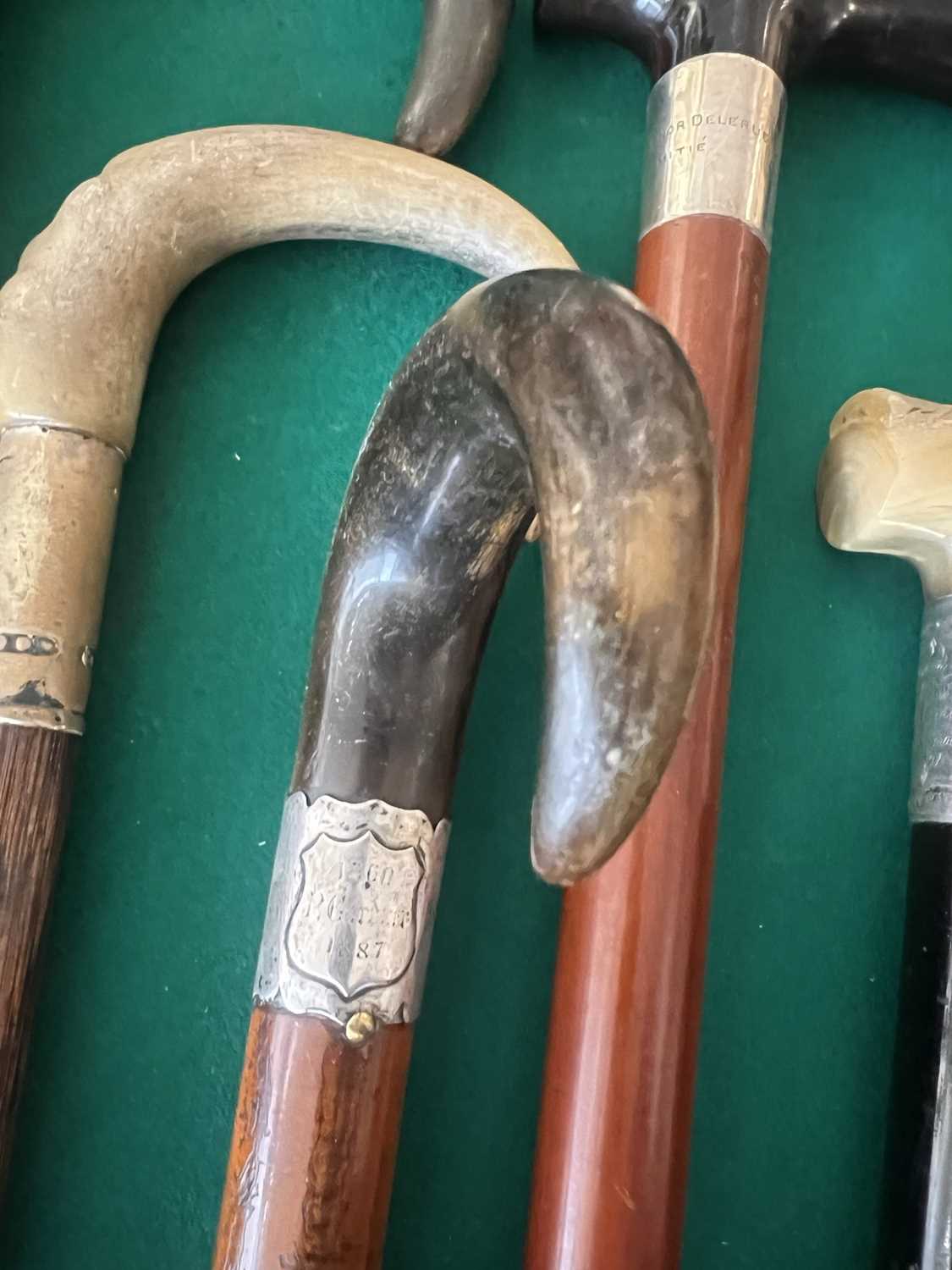 A LATE 19TH CENTURY RHINOCEROS HORN HANDLED WALKING CANE TOGETHER WITH FIVE FURTHER - Image 7 of 10