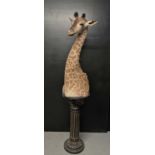 A TAXIDERMY BABY GIRAFFE ON PEDESTAL BY SIMON 'THE STUFFA' WILSON