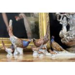 MEISSEN: A COLLECTION OF SEVEN PORCELAIN MODELS OF PHEASANTS AND GAME BIRDS