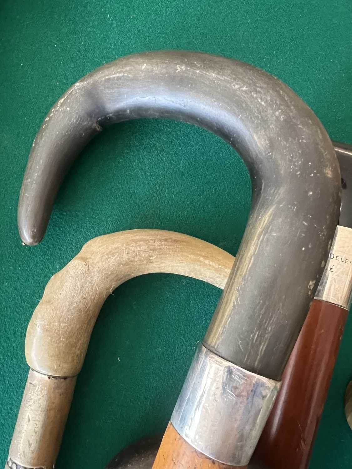 A LATE 19TH CENTURY RHINOCEROS HORN HANDLED WALKING CANE TOGETHER WITH FIVE FURTHER - Image 5 of 10