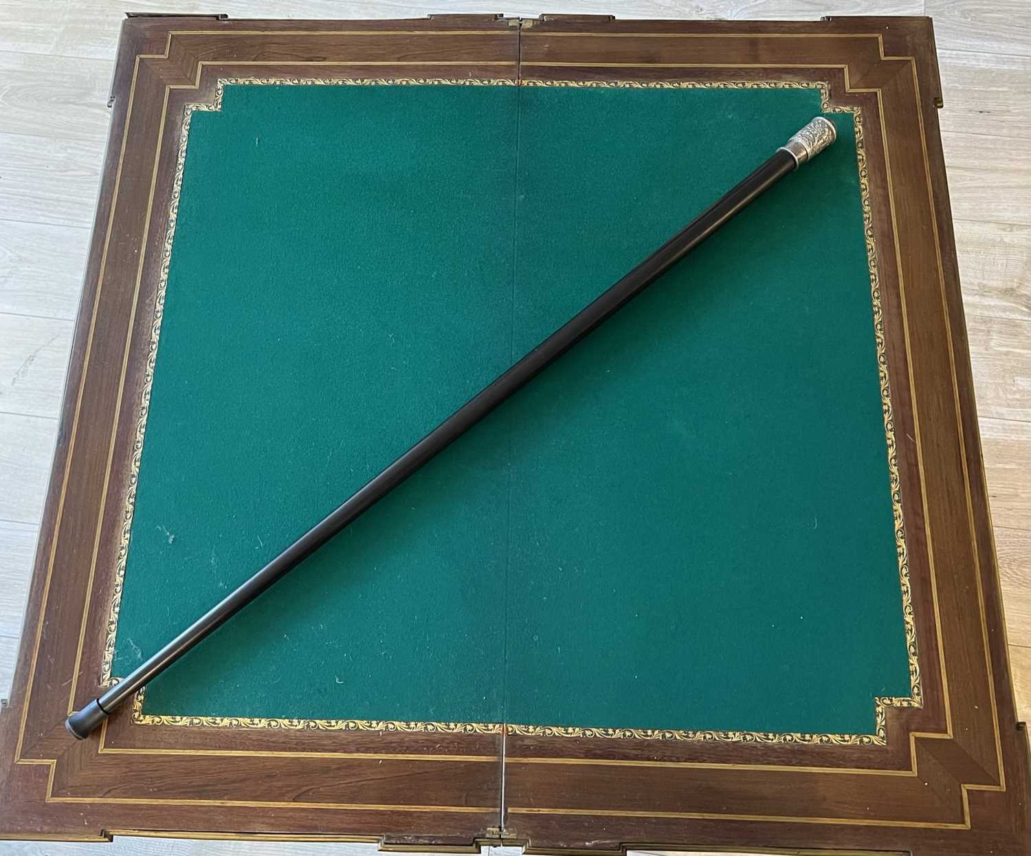 A FINE AND RARE LATE 19TH CENTURY BOTANIST'S CANE, 1900 - Image 4 of 4