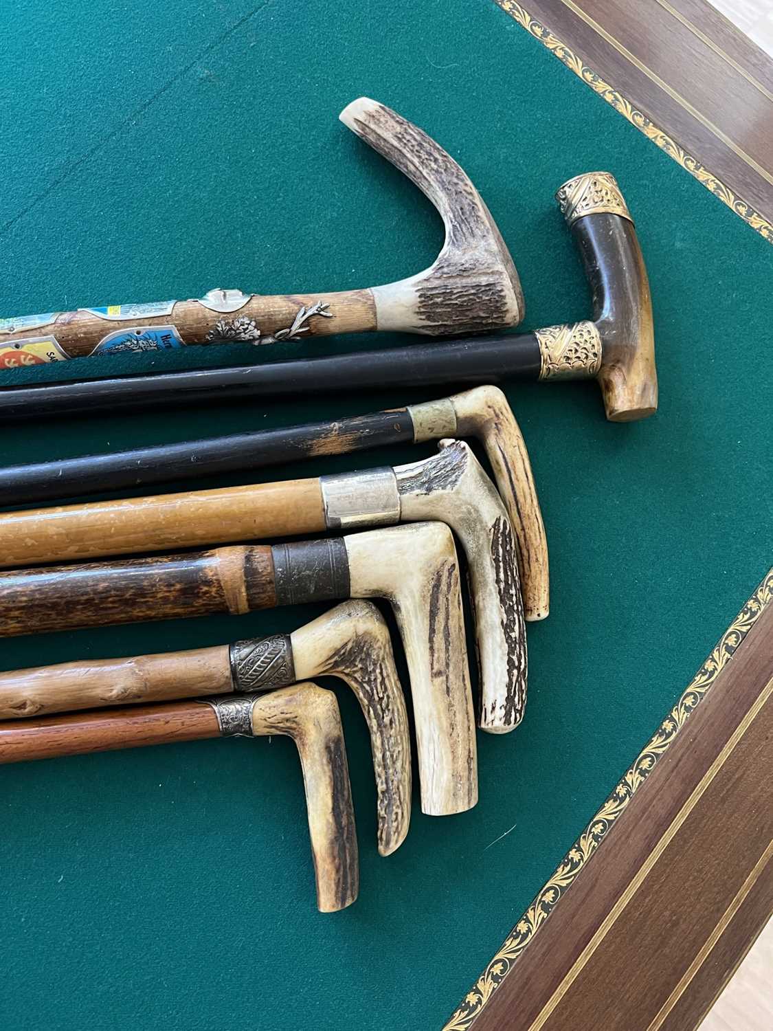 SEVEN LATE 19TH CENTURY ENGLISH ANTLER HANDLED WALKING CANES - Image 5 of 6