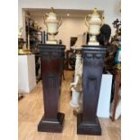 A PAIR OF EARLY 20TH CENTURY ADAM STYLE MAHOGANY PEDESTALS