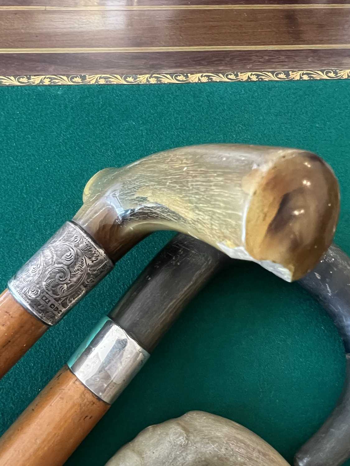 A LATE 19TH CENTURY RHINOCEROS HORN HANDLED WALKING CANE TOGETHER WITH FIVE FURTHER - Image 8 of 10