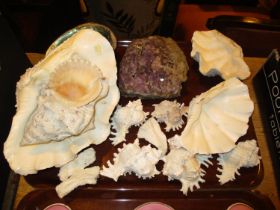 Selection of Shells and Amethyst Crystal