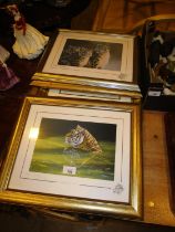 Five Stephen Gayford Signed Limited Edition Prints