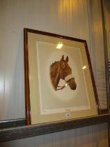 A J Gadd Signed Print of Red Rum 241/850