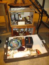 Two Doll Display Cases and Box of Decorative Items, Costume Jewellery etc
