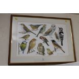 A FRAMED AND GLAZED WATERCOLOUR STUDY OF BRITISH BIRDS SIGNED LOWER RIGHT BRIAN DAWSON