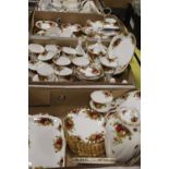 THREE TRAYS OF ROYAL ALBERT OLD COUNTRY ROSES