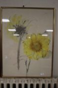 A FRAMED AND GLAZED WATERCOLOUR DEPICTING A SUNFLOWER