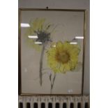 A FRAMED AND GLAZED WATERCOLOUR DEPICTING A SUNFLOWER