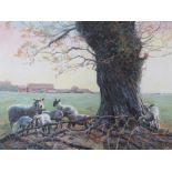 STEVENSON. Sheep and lambs resting by a tree, farm buildings in background, signed and dated 1987