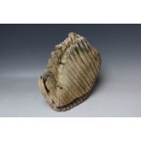 A LARGE AND FINE EXAMPLE OF A MAMMOTH TOOTH, H 23 cm, W 23.5 cm