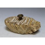 AN ANTIQUE NATURAL HISTORY SPECIMEN PAPERWEIGHT, W 13.5 cm