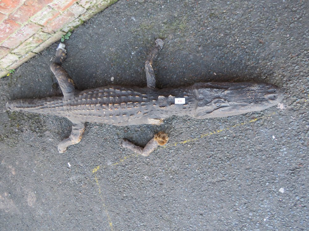 TAXIDERMY - A CAIMAN CROCODILE, L 151 cm, A/FCondition Report::Loss to end of the tail and right - Image 3 of 4