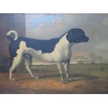 (XIX). English naive school, study of a dog with landscape beyond, unsigned, oil on canvas,