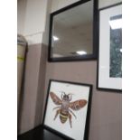 A MODERN WASP DECOUPAGE STYLE PICTURE AND A BLACK FRAMED MIRROR