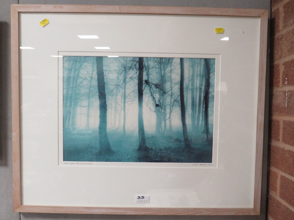 A JOHN HANSELL SIGNED PRINT OF 'WOOD NEAR RISING NORFOLK' - Image 2 of 2