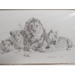 A COLLECTION OF MOUNTED DAVID SHEPHERD SIGNED LIMITED EDITION PENCIL DRAWING PRINTS, VARIOUS EDITION