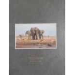 A BOXED DAVID SHEPHERD IN SOUTHERN AFRICA 'THE SAPPI SELECTION' OF SIGNED LIMITED EDITION PRINTS 160