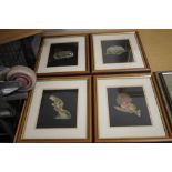 FOUR FRAMED WILDLIFE PRINTS