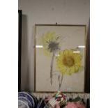 A FRAMED AND GLAZED WATERCOLOUR DEPICTING A SUNFLOWER