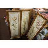 FOUR FRAMED PICTURES OF FLOWERS UNDER GLASS 100 CM X 39 CM