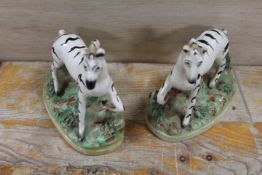 A PAIR OF 19TH CENTURY STAFFORDSHIRE STUDIES OF ZEBRAS