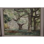 A FRAMED AND GLAZED WATERCOLOUR OF A SHADY WOODLAND SCENE, INITIALLED LOWER RIGHT A.S.B.