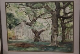 A FRAMED AND GLAZED WATERCOLOUR OF A SHADY WOODLAND SCENE, INITIALLED LOWER RIGHT A.S.B.