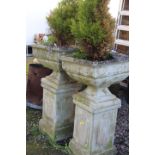 A PAIR OF STONE GARDEN URNS ON PLINTHS WITH CONIFERS