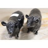 A BESWICK ABERDEEN ANGUS BULL AND COW