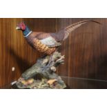 A COUNTRY ARTISTS 'AUTUMN SPLENDOR' LIMITED EDITION MODEL OF A PHEASANT