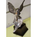 A HEREFORD FINE CHINA LIMITED EDITION FIGURE OF A BIRD OF PREY A/F