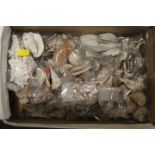 A SMALL BOX OF COLLECTABLE SHELLS