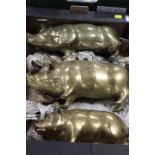 A SET OF THREE LARGE HEAVY BRASS GRADUATED PIGS - ONE BEING A MONEYBOX