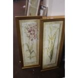 FOUR FRAMED PICTURES OF FLOWERS UNDER GLASS 100 CM X 39 CM