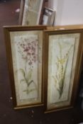 FOUR FRAMED PICTURES OF FLOWERS UNDER GLASS 100 CM X 39 CM