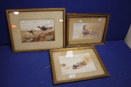 THREE EDWARDIAN WATER COLOURS OF GAME BIRDS