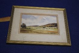 A FRAMED AND GLAZED WATERCOLOUR TITLED "LIGHT AND SHADE" SIGNED RAYMOND WHITEHOUSE