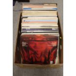 A TRAY LP RECORDS TO INCLUDE BLACK SABBATH, ROD STEWART, WHITESNAKE, BOB DYLAN, ROLLING STONES, ELLA