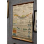 A VINTAGE HANGING HYGIENE AND SANITATION CHART