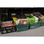 FOUR TRAYS OF LP RECORDS TO INCLUDE GARY NEWMAN , DIRE STRAITS ,BRUCE SPRINGSTEEN , AND MANY