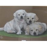 A PASTEL OF THREE LABRADOR PUPPIES, SIGNED LOWER LEFT JULIE HYDE, TOGETHER WITH A SMALLER PRINT OF