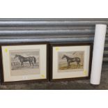 TWO SMALL FRAMED AND GLAZED EQUINE STUDY ENGRAVINGS OF HORSES TOGETHER WITH A HORSE RACING PRINT (