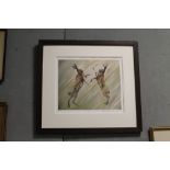 A FRAMED SIGNED LIMITED EDITION PRINT OF BOXING HARES ENTITLED 'COMBAT' NO 113/225 BY PAUL TAVERNOR
