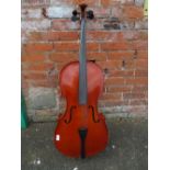 A STENTOR STUDENT II ½ CELLO IN CARRY CASE