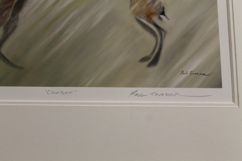 A FRAMED SIGNED LIMITED EDITION PRINT OF BOXING HARES ENTITLED 'COMBAT' NO 113/225 BY PAUL TAVERNOR - Image 2 of 3